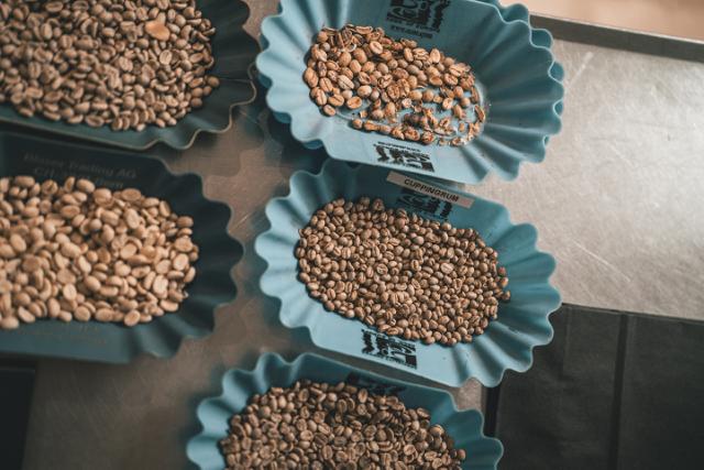 hele kaffeboenner i forskellige stadier i blaa bakker