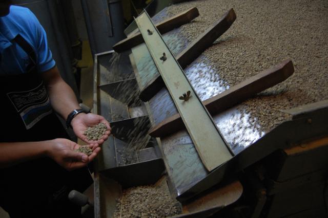 sorteringsmakine til groenne kaffeboenner