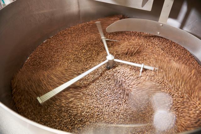 Kontra coffee friskristede bønner i risteriet